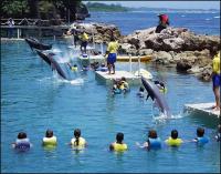 Dolphin Cove stake part of US$22-m Caribbean sales