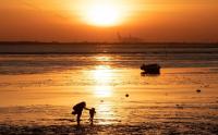 Climate change pushes Europe’s sea temperatures to record levels