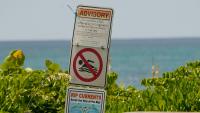 Palm Beach Midtown Beach under no-swim advisory due to fecal bacteria