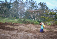 ‘On another scale’ – PNG province unprepared for El Niño impacts, warns governor