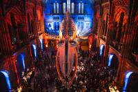 Capital.com marks 10th anniversary at second annual company week in London
