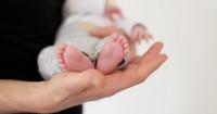 Births fall in Tirana while rising across most of Albania