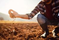 Green column: Food security crucial as farms battle weather