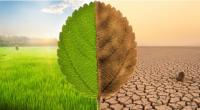 Climate change is now education crisis Tanzania can no longer afford to ignore