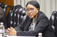 African treaties mustn’t collect dust – Speaker 
