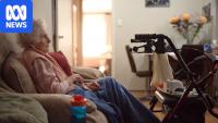 Politicians slam 'cruel tool' used to determine at-home aged care funding