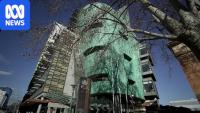 Number of trees to be removed from North Adelaide Golf Course 'not certain', court hears