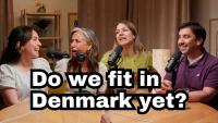 Why Are You Doing in Denmark? Trying to fit in (beyond PR)