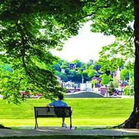 Welcome fall season with new Illinois Extension Four Seasons Gardening webinars