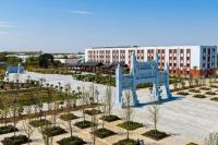 Chinese university opens branch campus in Uzbekistan