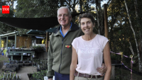 Australian couple bought a cattle farm and planted 34,000 trees to restore rainforest for koalas and other wildlife