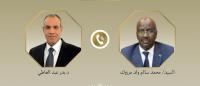 Egyptian FM, Mauritanian counterpart discuss cooperation, regional developments