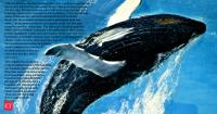 In 1970, a scientist released an album of whale songs that became a global hit and helped change public views on whaling