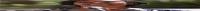 What to know about Florida Democratic Senate primary winner Angie Nixon 