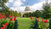 USC students excel in D.C. summer internships