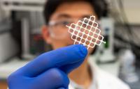 North Carolina State University researchers discover "fluffy net" can capture underwater microplastics