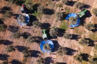 UK’s over-reliance on climate-vulnerable countries threatens fresh food supply