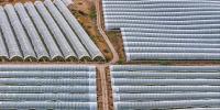 UK food supply vulnerable as climate change threatens fruit and veg imports: Food Foundation