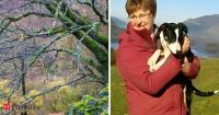 A UK tenant farmer made environmental changes years ago. In 2024, she helped create England's largest temperate rainforest nature reserve