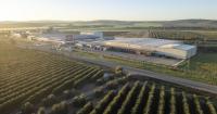 After the struggle for Deoleo, it is not only the leadership in the olive oil market that is at stake, but also the business model of the sector.