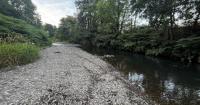 Urgent drought action requested as Wales faces worsening water crisis
