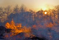Albania Faces Rising Wildfire Risk as Temperatures Continue to Climb