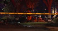 Houston man dead after SUV slams tree, catches fire on Potomac Drive