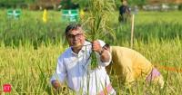 India's crop insurers seek data protection law to expedite farm innovation