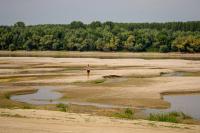 The great drought devours the heart of Europe: Record-low harvests, historic restrictions and a stalled economy