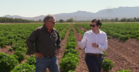 U.S. Secretary of Labor visits New Mexico chile farm