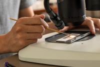 Tiny fossils crack a cretaceous cold case