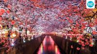 World Photography Day 2026: 7 picture-perfect global destinations to add to your travel bucket list