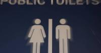 Woman sues Vienna over 50-cent toilet fee