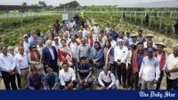 Bangladesh gets first grid-connected agrivoltaics pilot