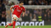 Newcastle sign Bosnian defender Amar Dedic from Benfica