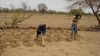 How degradation and drought are threatening the land that feeds us