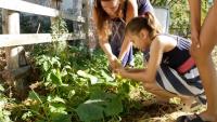 'Climate Camp' trains kids for future droughts in Hungary