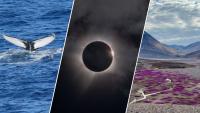 I sailed to Greenland for a total solar eclipse — what I saw left me speechless