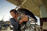 Philippine Supreme Court rules monitoring commercial fishing vessels is unconstitutional