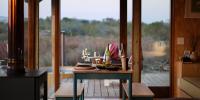 Tasting the Stories of the San: A Culinary Journey at !Khwa ttu