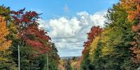 West Virginia Department of Tourism unveils 2026 fall foliage map, autumn SWINGO