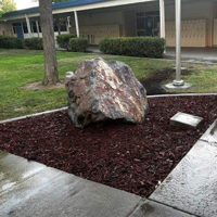 Class of 1976 donates Pride Rock to Davis High, gears up for 50th reunion