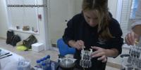 Scientists work to rebuild Florida’s coral reef after producing coral embryos