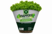 Climate‑proof lettuce innovation debuts