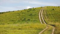 Govt criticised over lack of rural public transport links