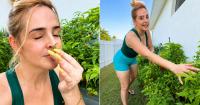 The envy of everyone! Cuban in the U.S. manages to grow this plant at home to cook with the true Cuban flavor