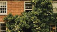 Why Farm Hotels are Trending in the U.K. and Should You Try One