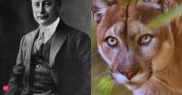 For years, a Florida family used their 24,300 acres of land for hunting. In 1989, their decision to part with the ranchland helped save one of America's rarest big cats