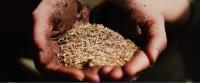 As Iran War Escalates, New Research Highlights the Grain Corporations Cashing in on Global Insecurity