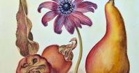 Local Artist ShawnaLee Exhibits 'Grand Moments Masquerading as Everyday Life' Fine Art Show